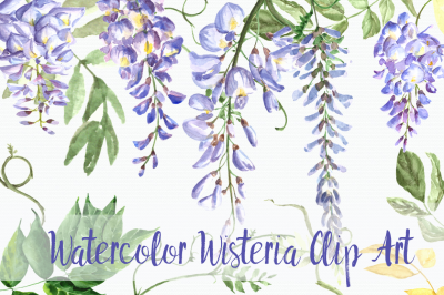 Watercolor Wisteria Clip Art Set
