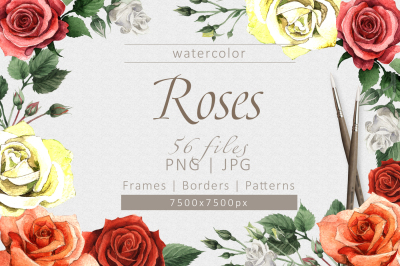 Colorful roses PNG watercolor set