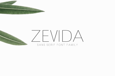 Zevida 4 Sans Serif Font Family