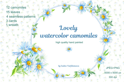 Lovely watercolor camomiles.