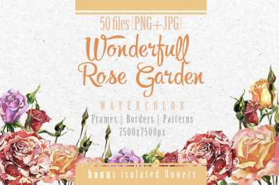 Wonderful rose garden PNG watercolor set