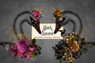 Black Swans Clipart