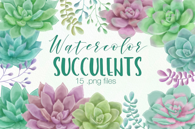 Watercolor Succulent Clipart Illustrations