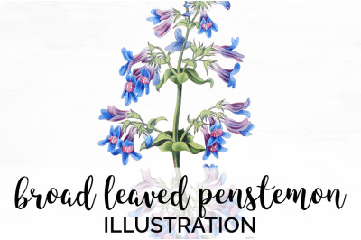 Blue Flower Clipart