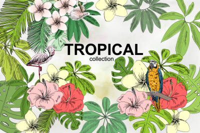 Tropical collection.