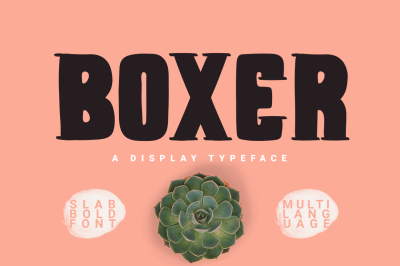 Boxer Typeface