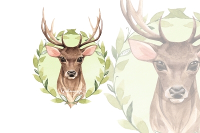 Noble Deer. Watercolor Png illlustration
