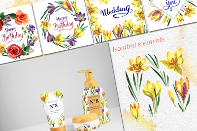 Yellow crocuses PNG watercolor flower set