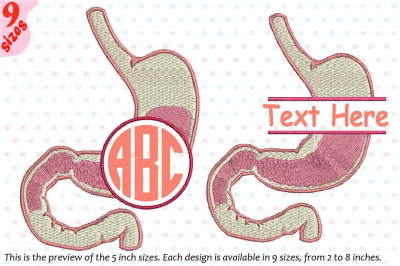 Stomach Circle Split Embroidery Design science Anatomy frame 228b