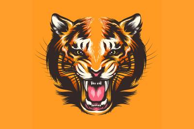 Colorful Tiger Face