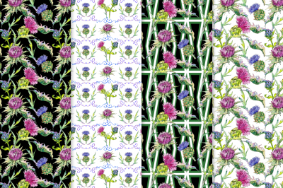 Thistle flowers collection PNG watercolor set