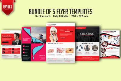 Bundle of 5 Flyer Templates