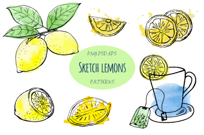 Sketch lemons. Watercolor. Vector.