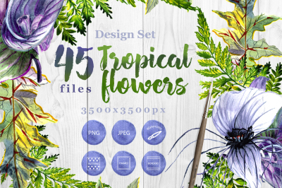 Tropical flowers PNG watercolor set