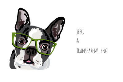 Boston Terrier In Glasses Graphic