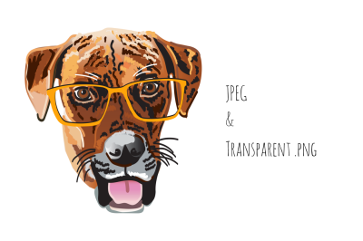 Brown Dog With Glasses Graphic