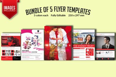 Bundle of 5 Flyer Templates