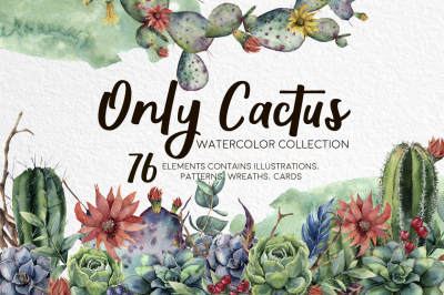 Only cactus. Watercolor clip art