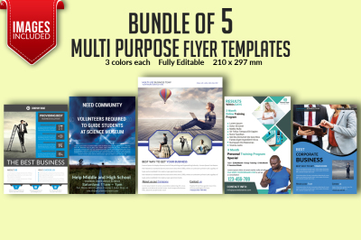 Bundle of 5 Multi Purpose Flyer Templates