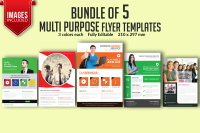 Bundle of 5 Multi Purpose Flyer Templates