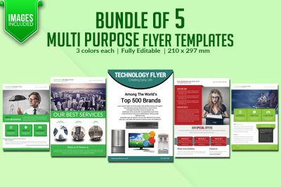 Bundle of 5 Multi Purpose Flyer Templates