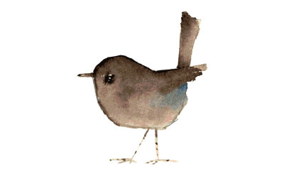 Lttle bird watercolor