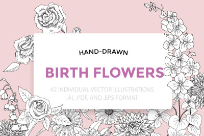 Birth Flowers Vector Illustrations