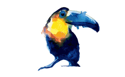toucan watercolor