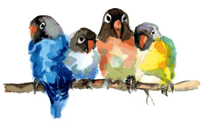 a parrot watercolor