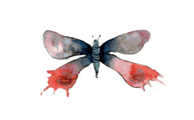 exotic butterfly watercolor