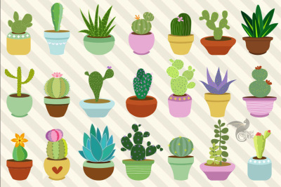 Cactus and Succulent Clipart