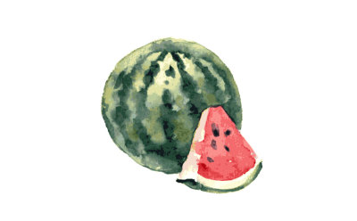 watermelon watercolor