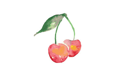 cherry watercolor