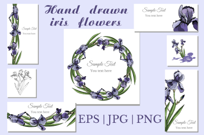 Collection with sketches of iris flowers and seamless patterns. 