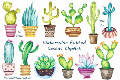 Watercolor potted cactus clipart