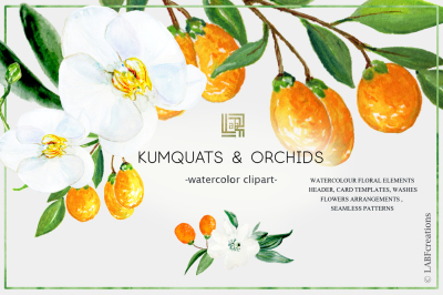 Kumquat & white orchids. Watercolors clipart collection.