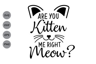 Are you kitten me right meow? SVG, cat svg, kitten svg