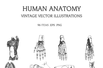 Vintage Vector Illustrations Bundle [Multiple Categories, 1391 Item]