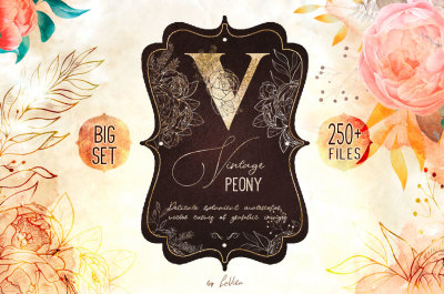 Vintage Peony: Big collection of watercolor clipart and vector graphic