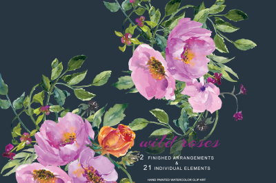 Watercolor Wild Roses Clip Art Set Hand Painted Bouquets