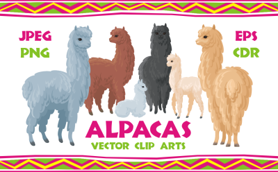 Alpacas. Vector clip arts.