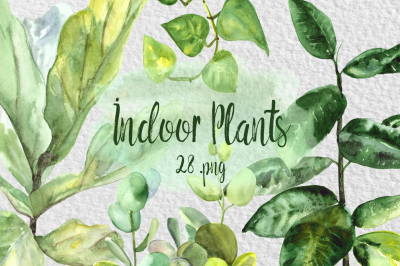 Watercolor Indoor Plants Clip Art Set