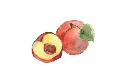 Peach watercolor