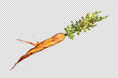 Orange carrot PNG watercolor vegetables set