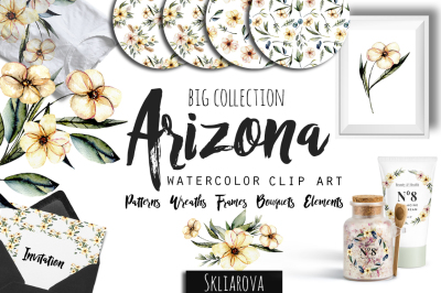 Arizona. Flower watercolor clip art.