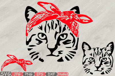 Cat Head whit Bandana Silhouette SVG cut layer Kitten kitty Milk 829s