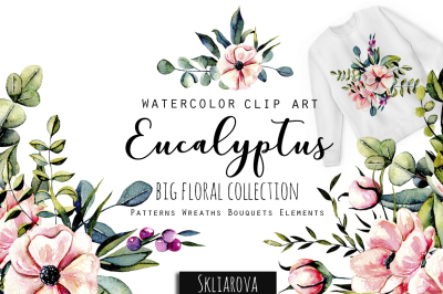 Eucalyptus. Big floral collection.