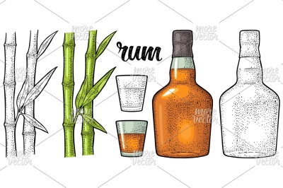 Glass and bottle of rum with sugar cane. Vintage vector color engravin