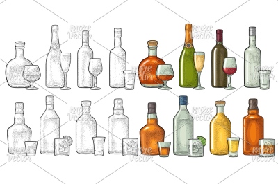 Set glass and bottle whiskey, wine, tequila, cognac, vodka, champagne,