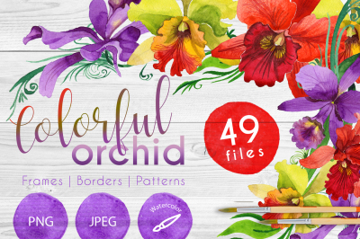 Colorful orchid PNG watercolor set